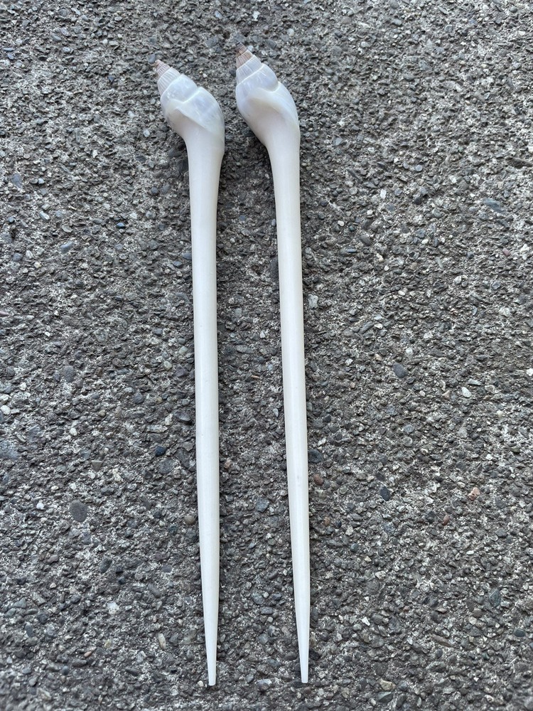 2 Shea Shell Hair Pin Bali 7 Inches Tall