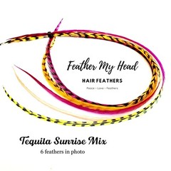 Feather Hair Extensions, 6 Pc, Optional Kit, Short – Mega Long, Tequila Sunrise