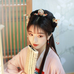 Chinese Hanfu Hair Jewelry Flower Tassel Hairpin Hairclip Crown Bridal Headdress