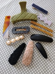 Hair Accessories Lot of 12 Clips Barrettes Assorted Unique Women’s Brand New