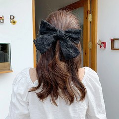 Lace bow hair clip, embroidered sweet and elegant, ribbon spring clip