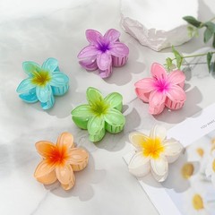 6 Pack Flower Claw Clip for Women Hawaiian Plumeria Hair Clip,Preppy Flower Hair