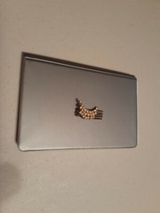 Vintage Hair Pin Or Pin With Stones None Are Missing