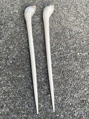 1 Pair Sea Shell Hair Pin Bali 7 Inches