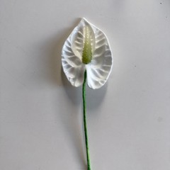 White Anthurium Hair Flower / Ear Piece – Hawaiian Tropical Accessory