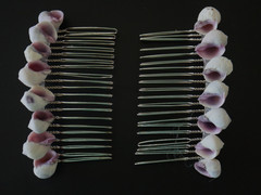 Sea Shell Hair Comb Set of 2 all Natural shells 8 varieties 3″ x 1.5″