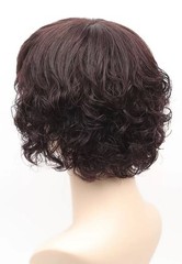 New Black/Brown 100% Human Hair Wavy Bob Full Wig for Women,Silk Top Whirl 10″