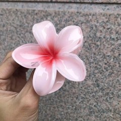 2026 Egg Flower Hair Clip Hawaii Beach Claw Boho Y2K Hair Accessory Girls