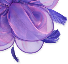 DRESHOW Fascinators Hat Tea Party Headwear Ribbons Feathers on a Headband and a