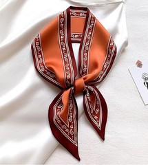 4Pcs Bag Handbag Handle Ribbon Hair Head Band Neck Scarf For Hair Fashion Coffee