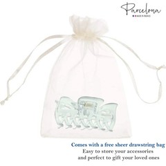 Parcelona French Classic Small 2.5″ Celluloid Set of 2 Jaw Hair Claws for Women
