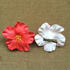 6Pcs Hawaiian Flower Hair Clips for Women, 1 Count (Pack of 6), Colorful
