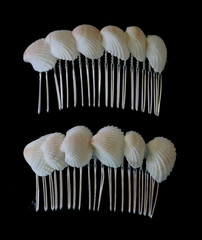 Sea Shell Hair Comb Set of 2 all Natural shells 8 varieties 3″ x 1.5″