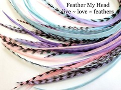 Hair Feathers – 6 Pc – Select Length Up to 16 Plus Inches Long – Cupcake Mix