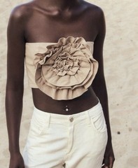 Zara Beige Fabric Flower Top Women