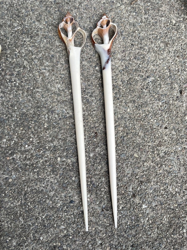 1 Pair Sea Shell Hair Pin Bali 7 Inches