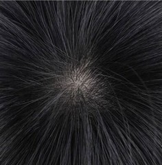 100% Real Human Hair Full Wig For Women,Silk Top C-part BOBO with Flat Bang, 11″