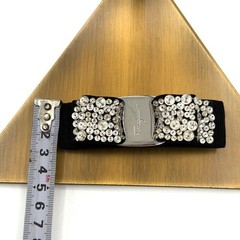 Salvatore Ferragamo Barrette with Vara Ribbon, Jewels, and Logo