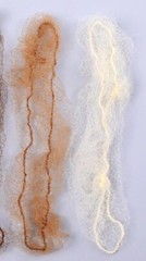 50 pieces light brown hair elastic nets for ballet, dance bun, food service