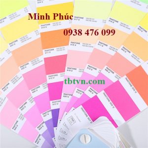 PANTONE PASTELS NEONS