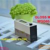 GLOSS METER KSJ WGG60-ES4