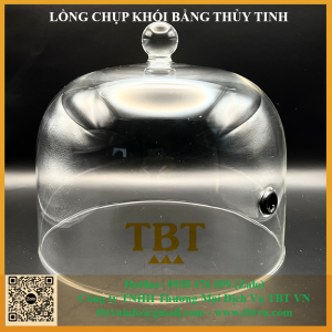 Lồng chụp thủy tinh đường kính 20cm Chiều cao 20cm